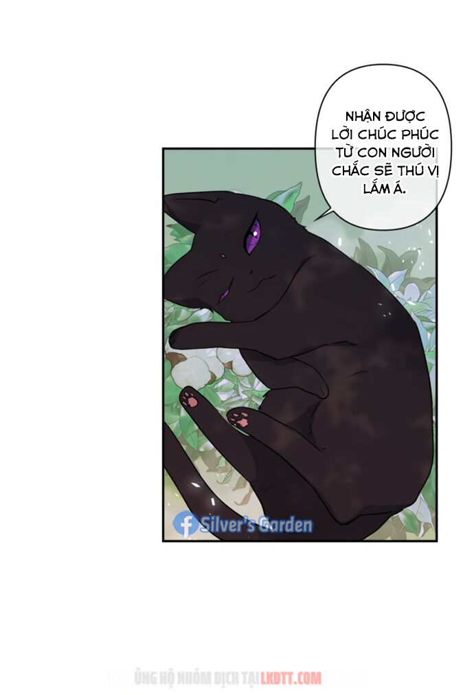 tôi đang nuôi dưỡng một con quái thú chapter 17 7