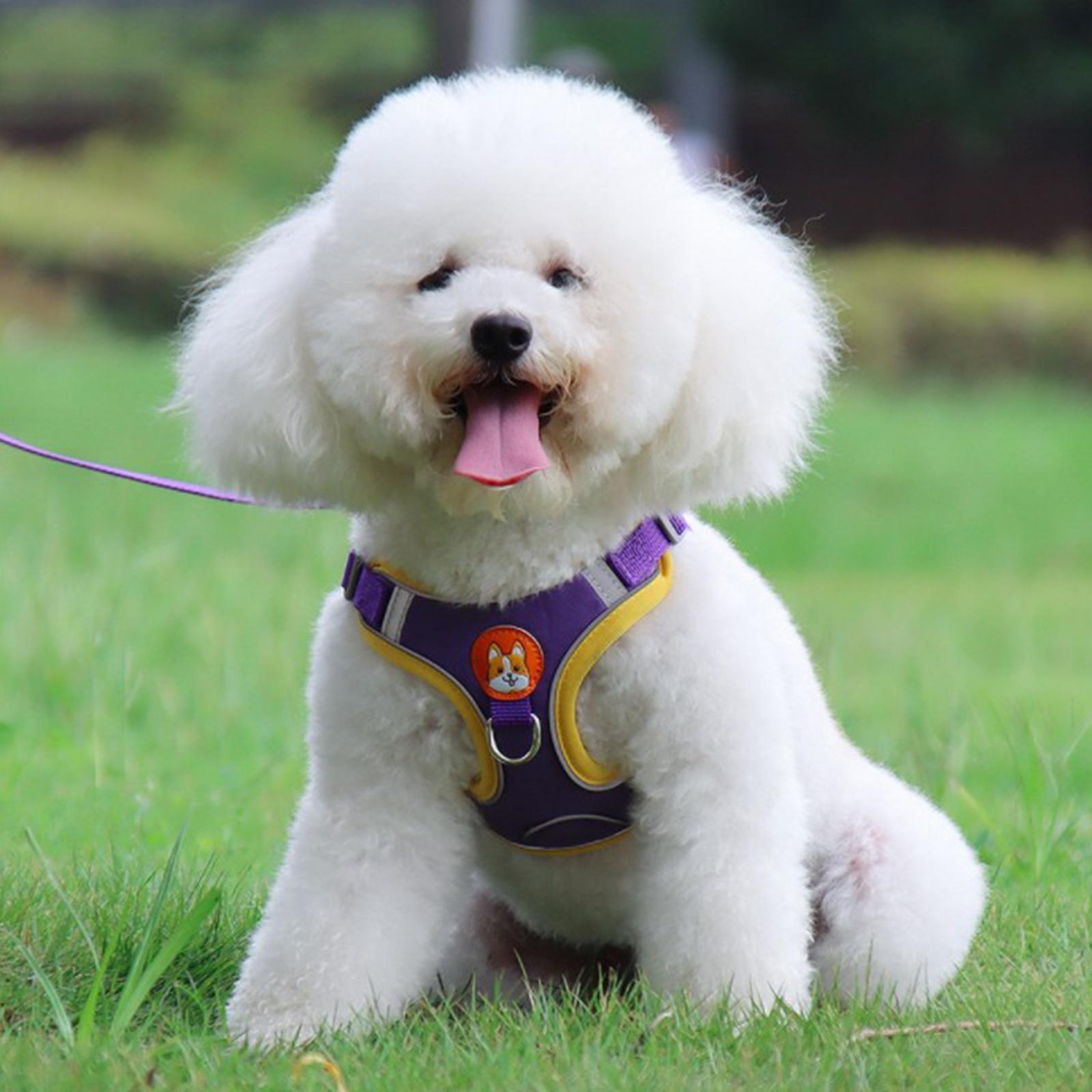 Dog Harness Leashs Set Soft Padded Adjustable for Puppy Reflective S