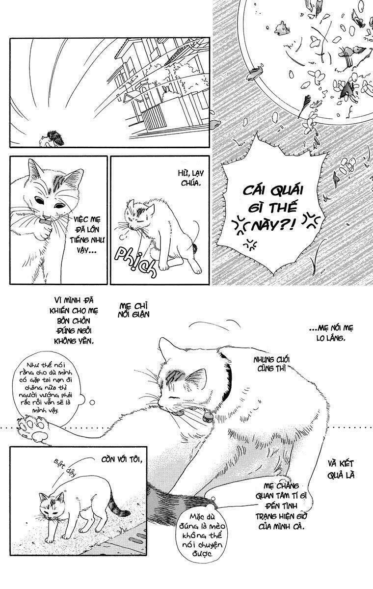 cuộc sống thường nhật của mèo zaccho chapter 1 8
