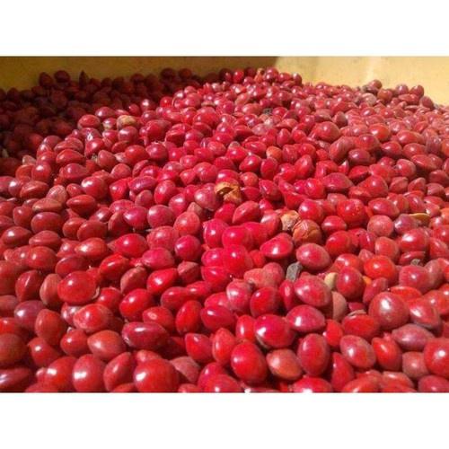 Hạt giống Cẩm Thái Lan - Gói 50 hạt