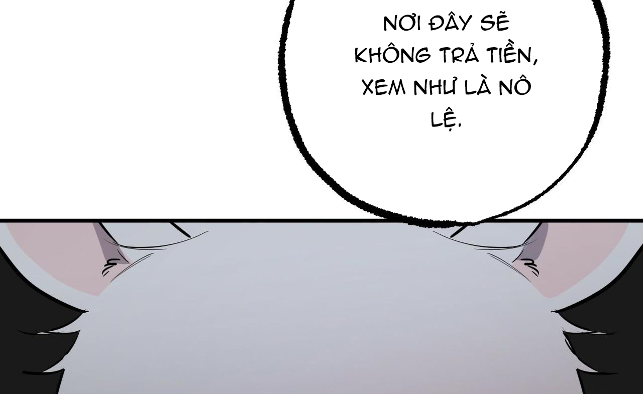 đàn thỏ của habibi chapter 46 71