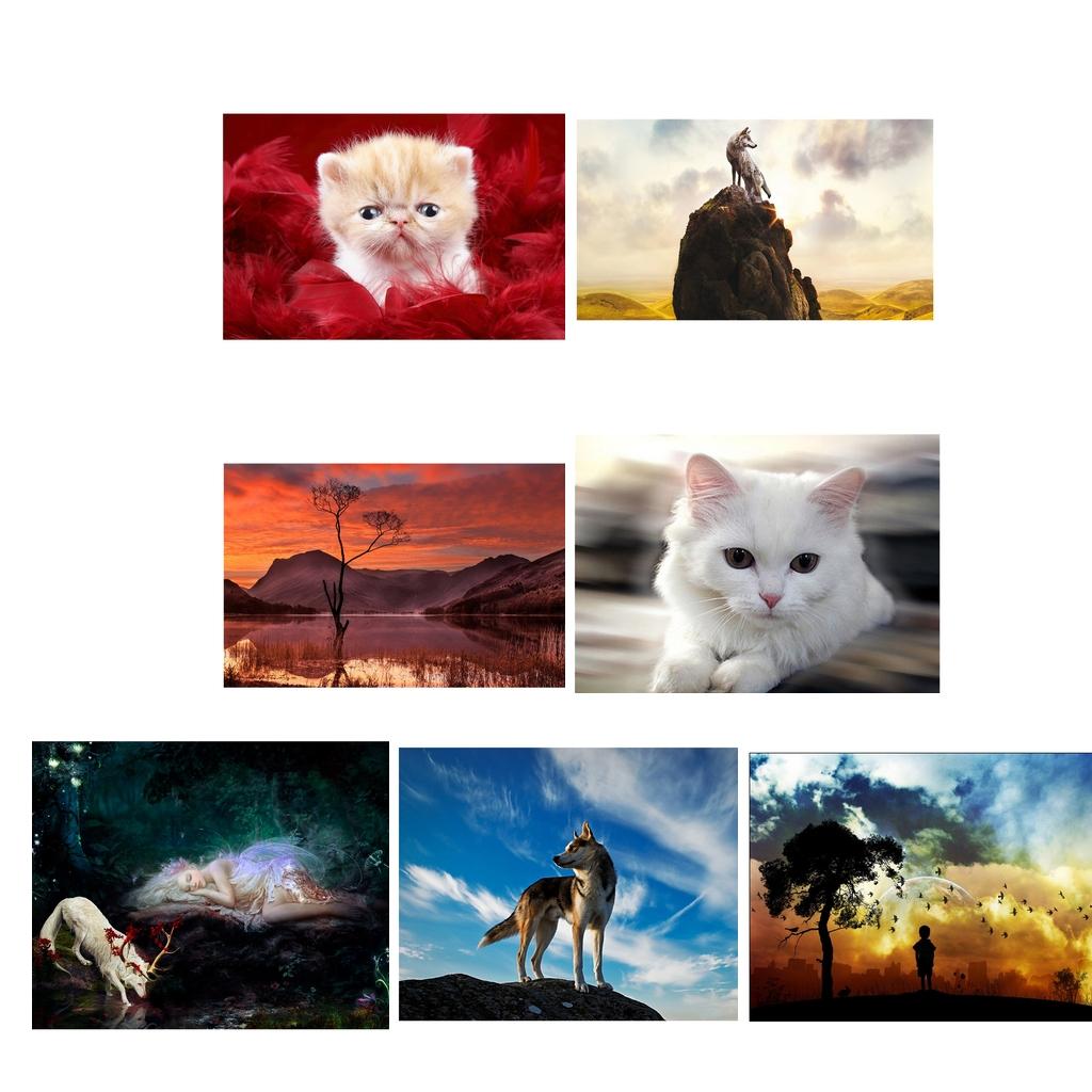 DIY 5D Diamond Painting Kit for adults Embroidery Animal Cross Stitch Kit Art Home Decor