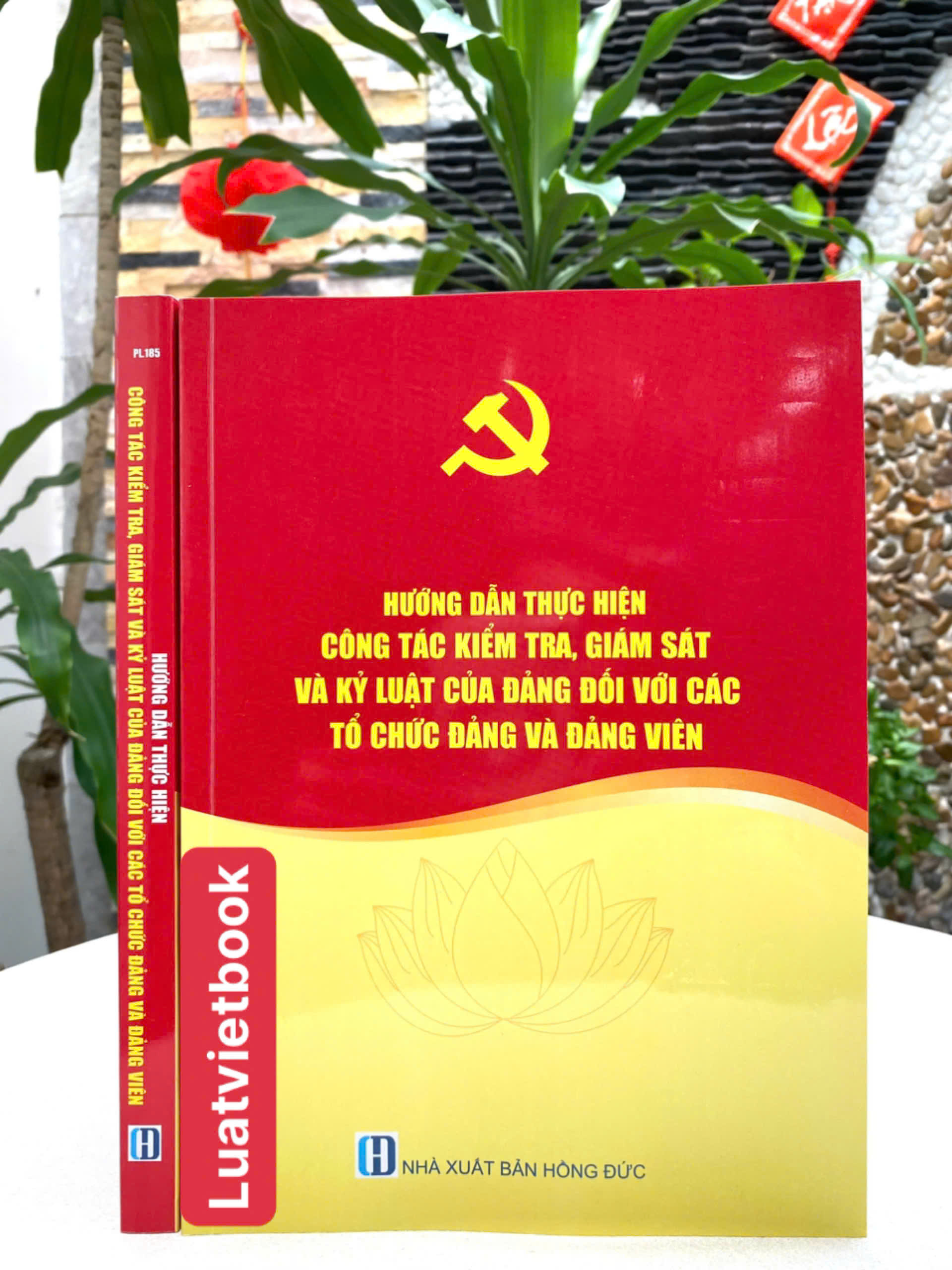 Hướng Dẫn Thực Hiện Công Tác Kiểm Tra, Giám Sát và Kỷ Luật Của Đảng Đối Với Các Tổ Chức Đảng Và Đảng Viên