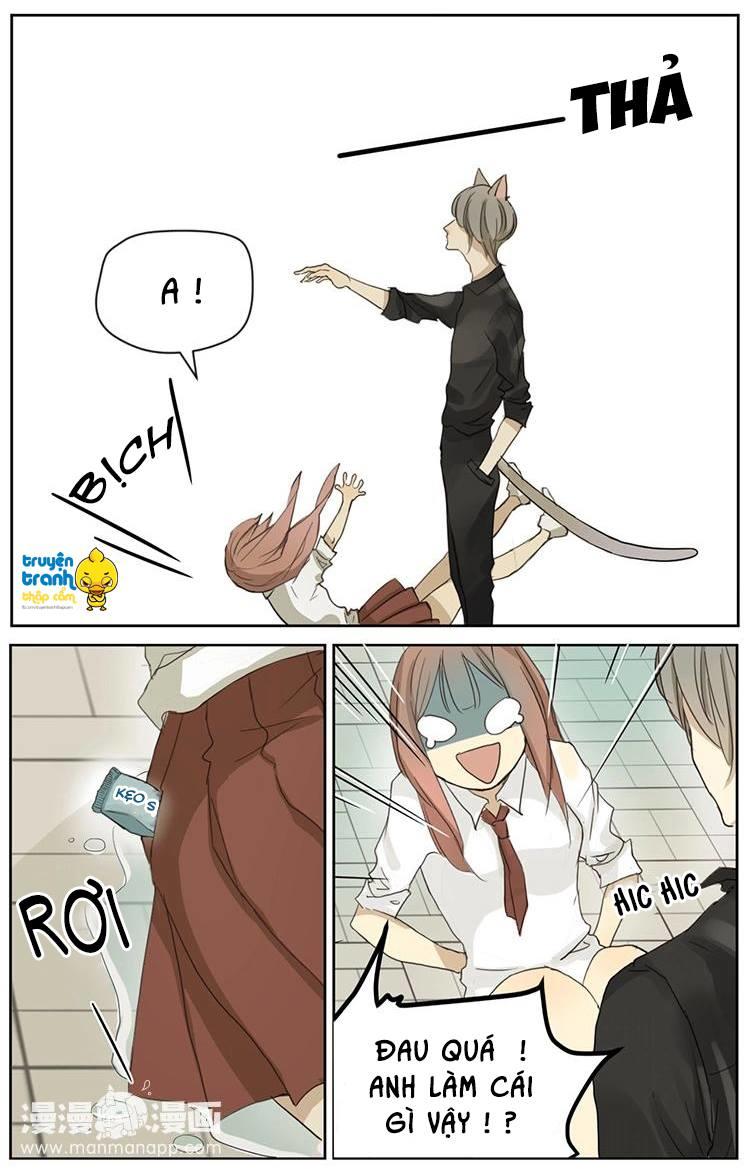 cứu mạng ! loài mèo thống trị thế giới rồi ! chapter 2 13