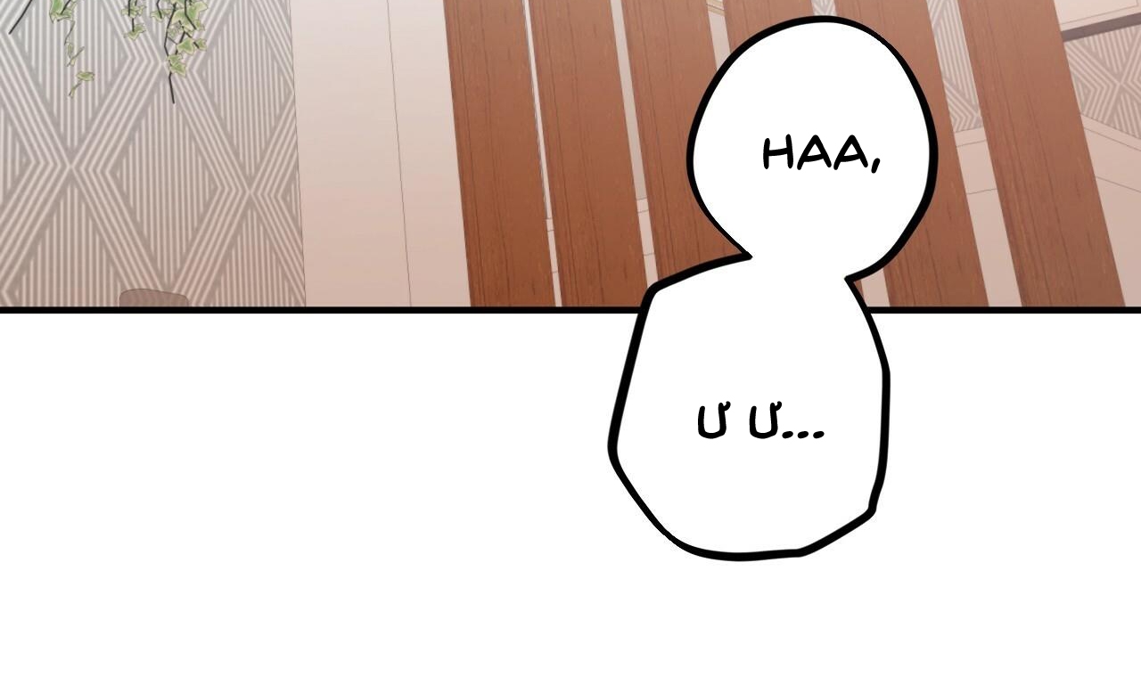 đàn thỏ của habibi chapter 33 56