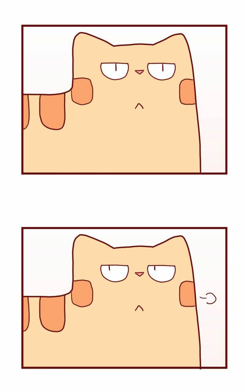 saphie: chú mèo một mắt chapter 10 19