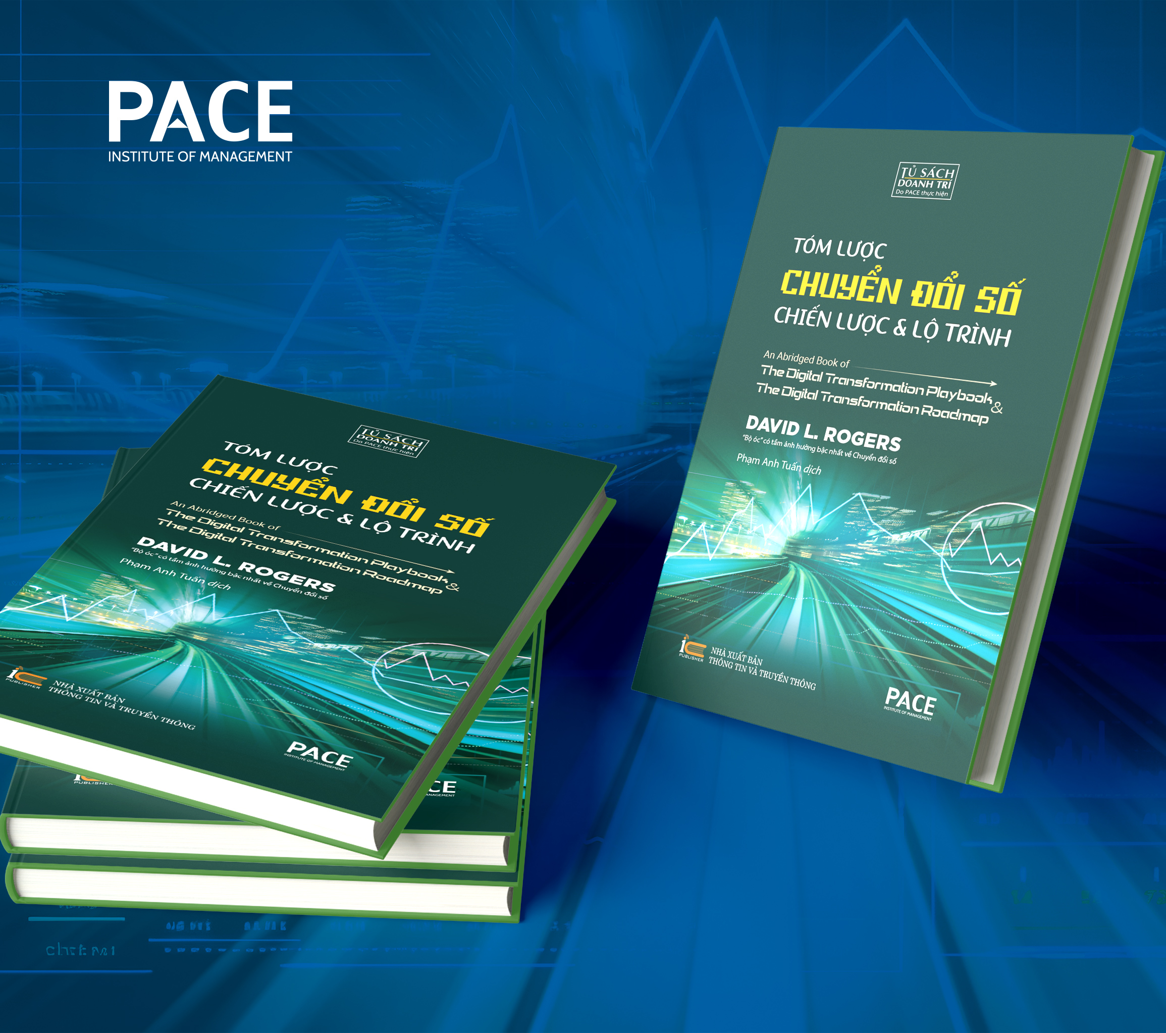 Tóm Lược Chuyển Đổi Số - Chiến Lược Và Lộ Trình (An Abridged Book of Digital Transformation Play Book &amp; The Digital Transformation Roadmap) - David L. Rogers - PACE Books