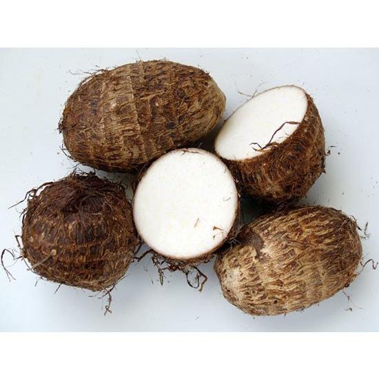 PHÂN BÓN CHO CỦ- GIÚP TO CỦ, NẶNG KÝ 500ML