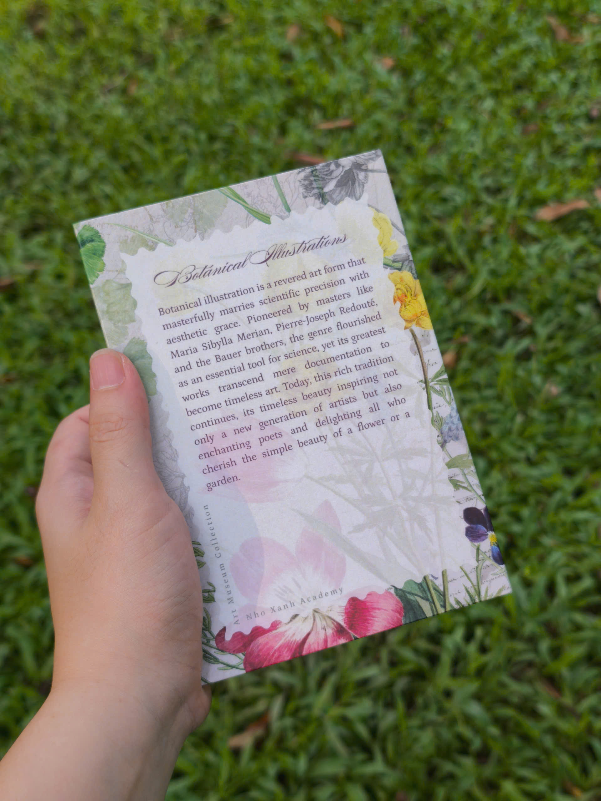 BỘ 100 POSTCARD PETALA & FOLIA - Minh Họa Thực Vật Nghệ Thuật - Giấy Mỹ Thuật 300g Cao Cấp - Nho Xanh