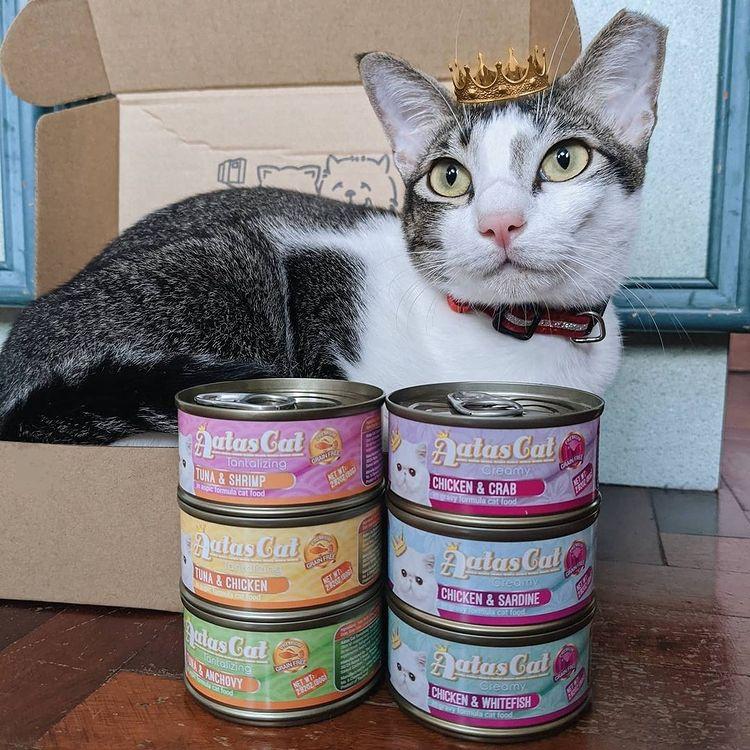 Pate mèo dạng súp gà sợi nhuyễn mix 8 vị - 1 Thúng 24 lon pate thức ăn ướt cho mèo Aatas Cat nhập khẩu Thái Lan