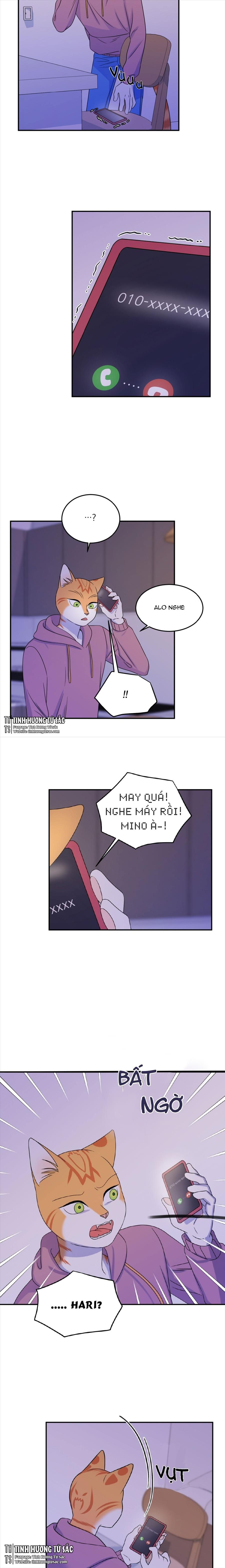 dự án xanh chapter 16 4