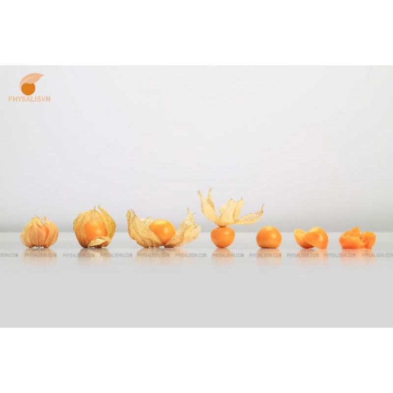Nước cốt Tầm Bóp Thù Lù cô đặc chai lớn 1 lít