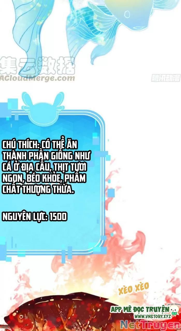 lại bị bệnh chiều chuộng quấn lấy chapter 33 36