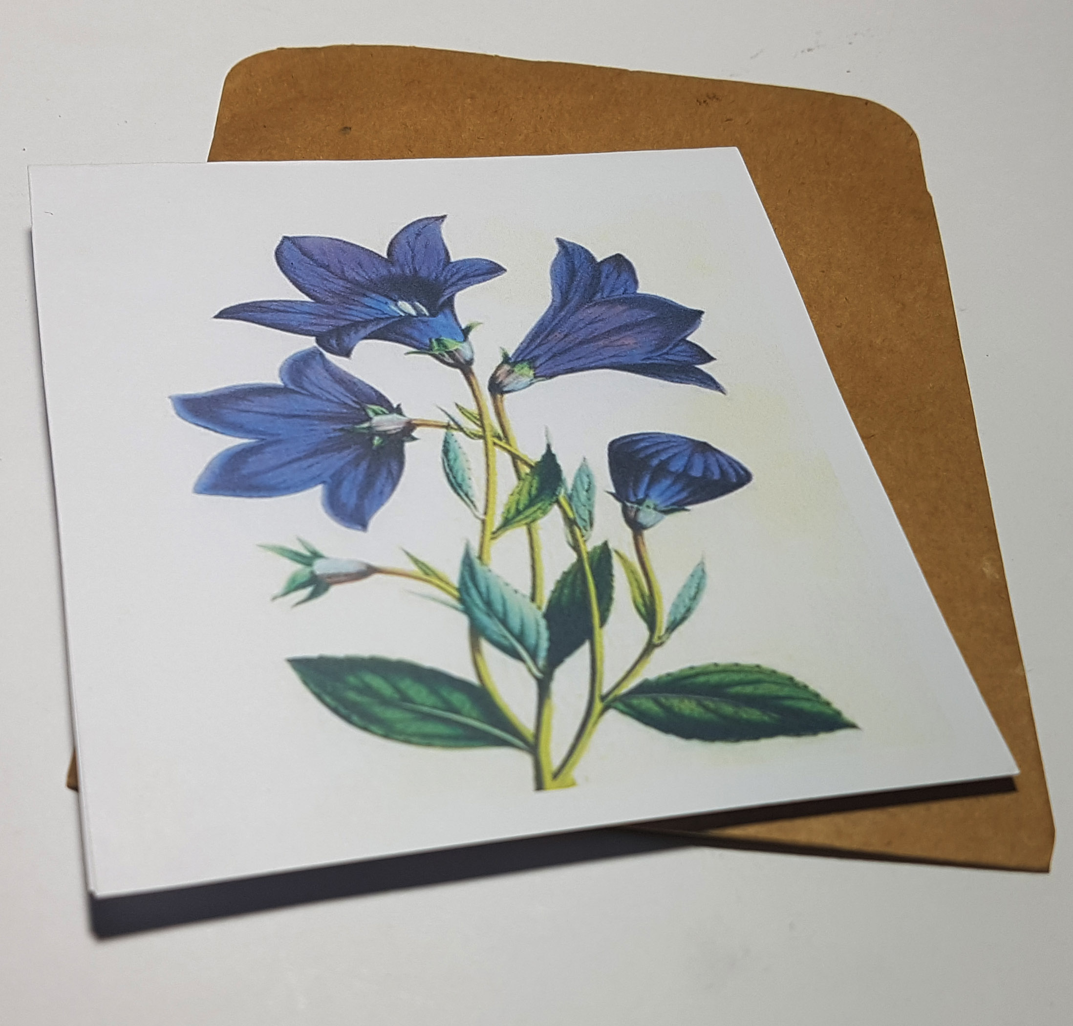Thiệp phong cách Vintage card quà cám ơn ,chúc mừng sinh nhật và giử tặng người thân yêu.