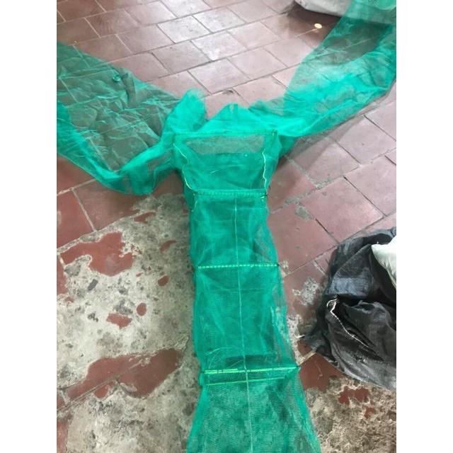 Xăm, dớn, chặn sông bắt cá hàng thái lan y hình