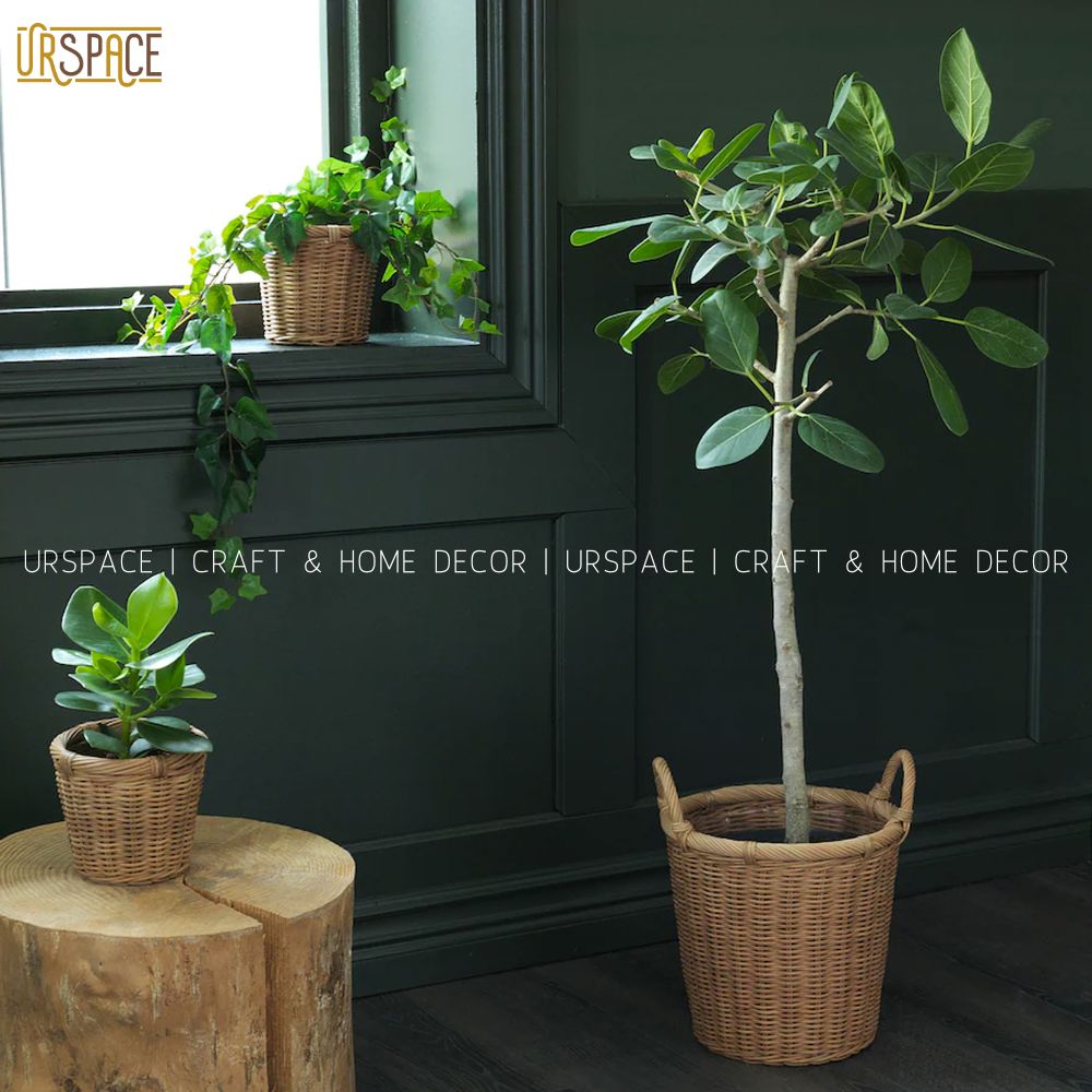Sọt mây tròn URSPACE trồng cây, đựng đồ, sắp xếp không gian, trang trí decor có quai cầm