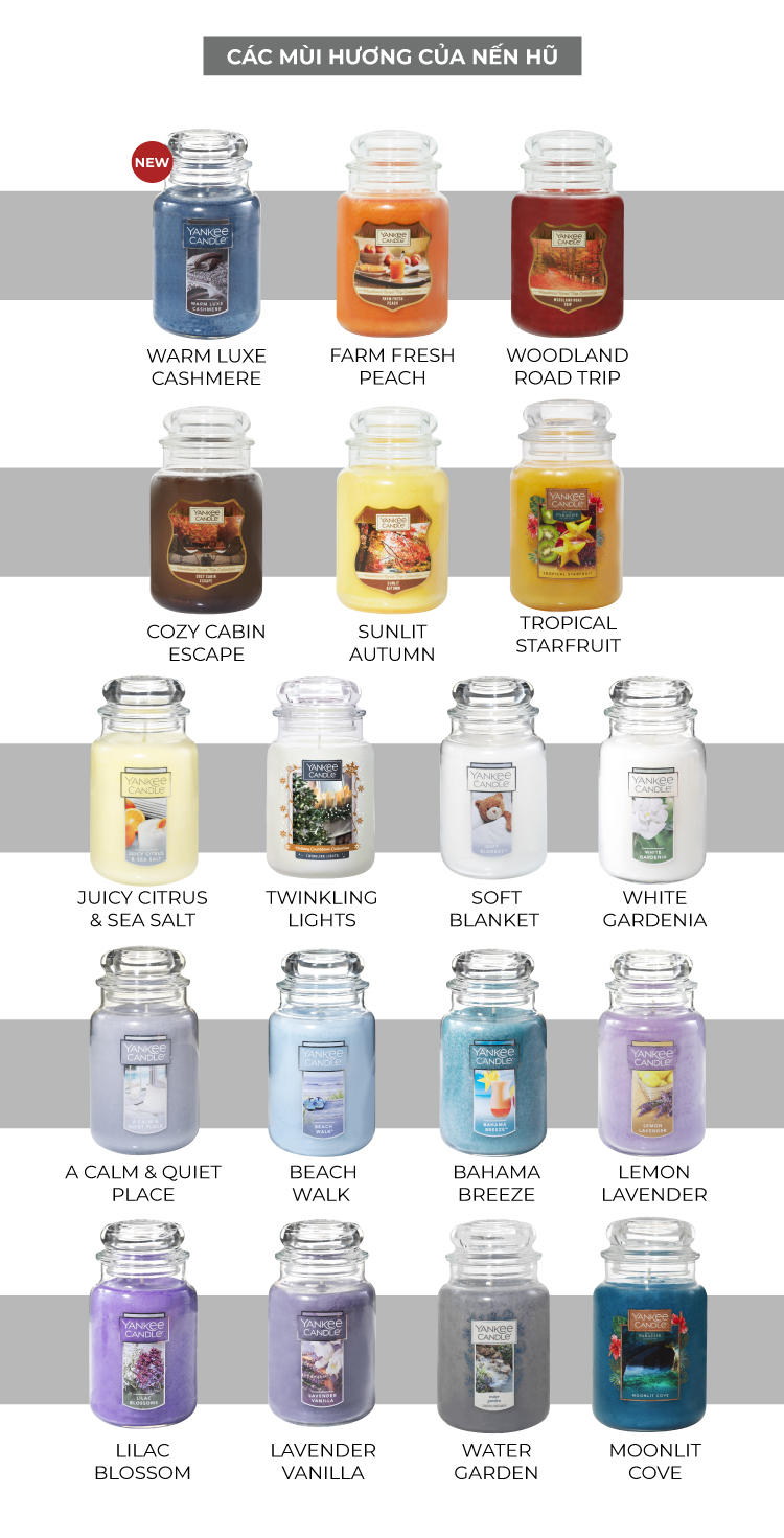 Nến hũ Yankee Candle size L (623g) - Warm Luxe Cashmere