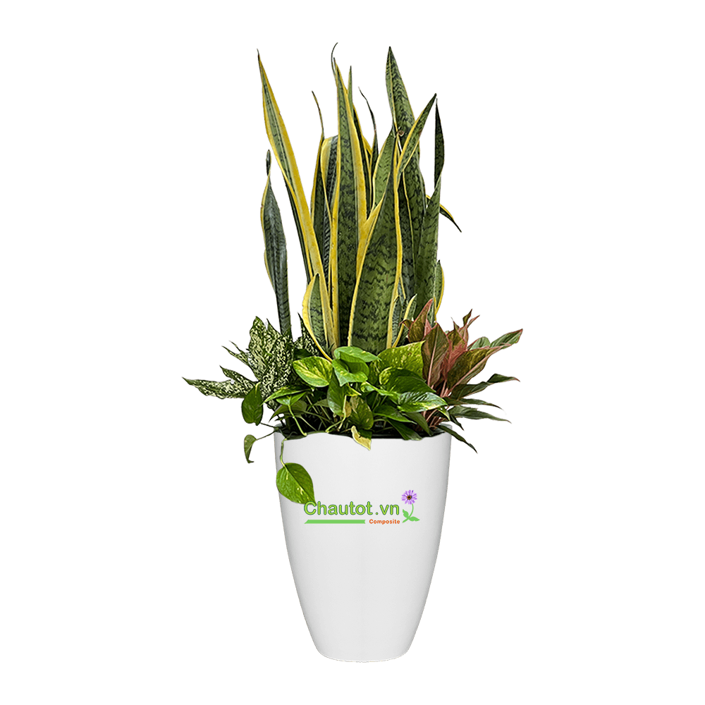 Chậu Composite Tròn 36x36x56cm|MÀU GỖ|CT2024-BAOBINH