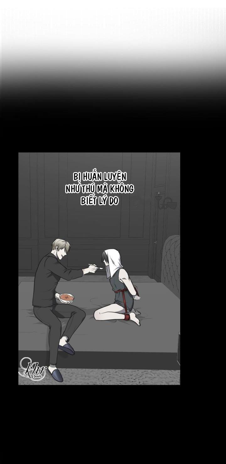 dưỡng thú cưng chapter 9 38