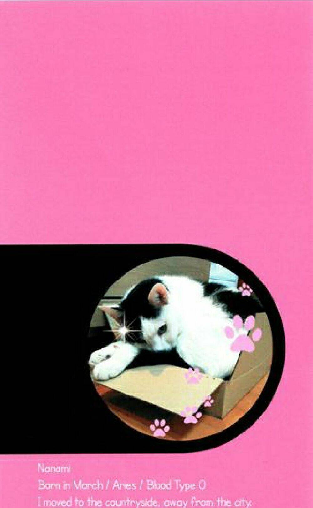 kachou wa kakko ii chapter 1 3