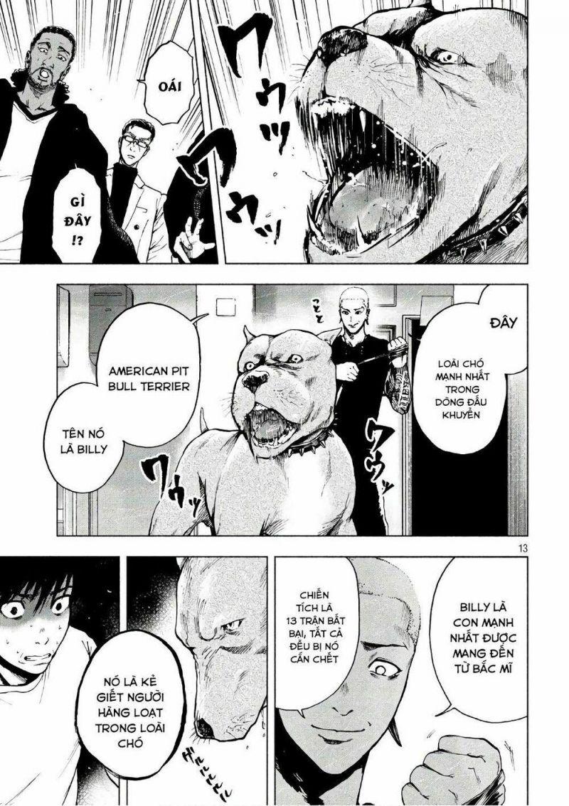 shin'ai naru boku e satsui wo komete chapter 7 13