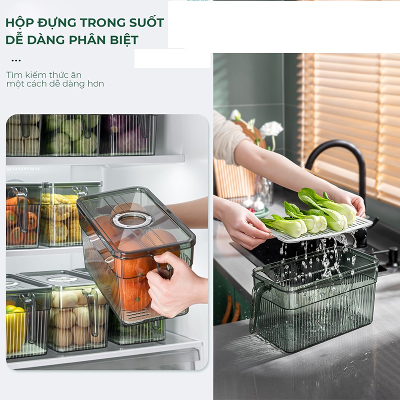 Hộp đựng thực phẩm trong tủ lạnh tươi ngon có tay cầm và nắp đậy kín, trên nắp có núm xoay hẹn ngày tháng lưu trữ thực phẩm, chất liệu nhựa cao cấp màu xanh trong suốt KHUYẾN MÃI