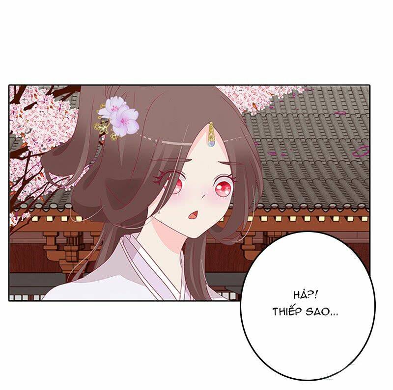 tướng quân mời ra trận chapter 70 7