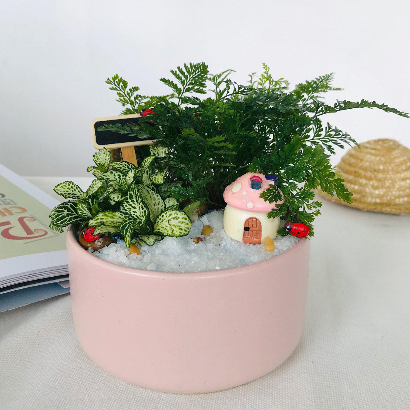 Chậu Sứ Trồng Cây Cảnh Mini, Sen đá, Xương rồng, Tiểu Cảnh Terrarium Hình Trụ Thấp - Chậu nhỏ: 12x6cm