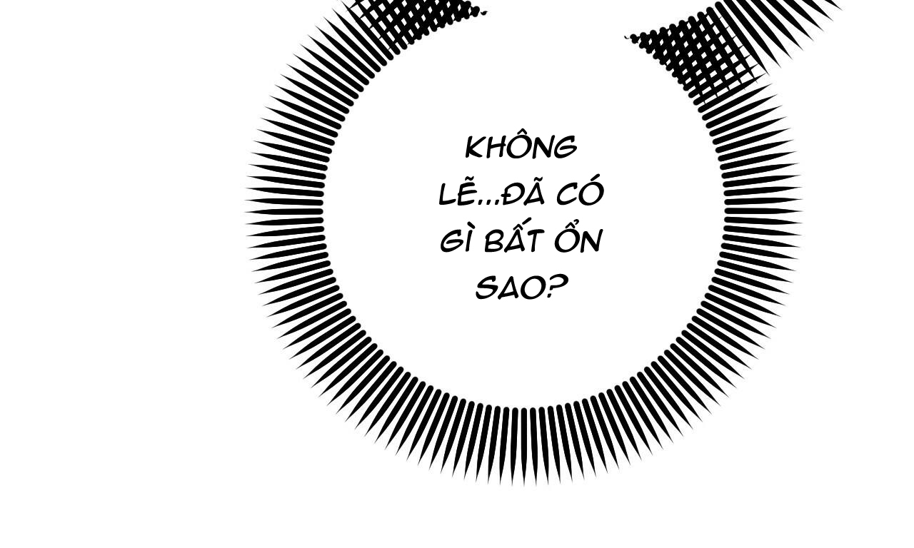 những chú thỏ của hapypy chapter 49 266