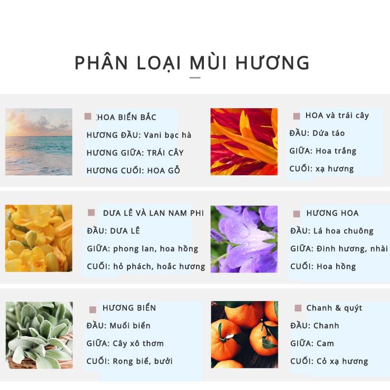 Nến thơm trang trí cốc thủy tinh làm quà tặng babo (TD22)