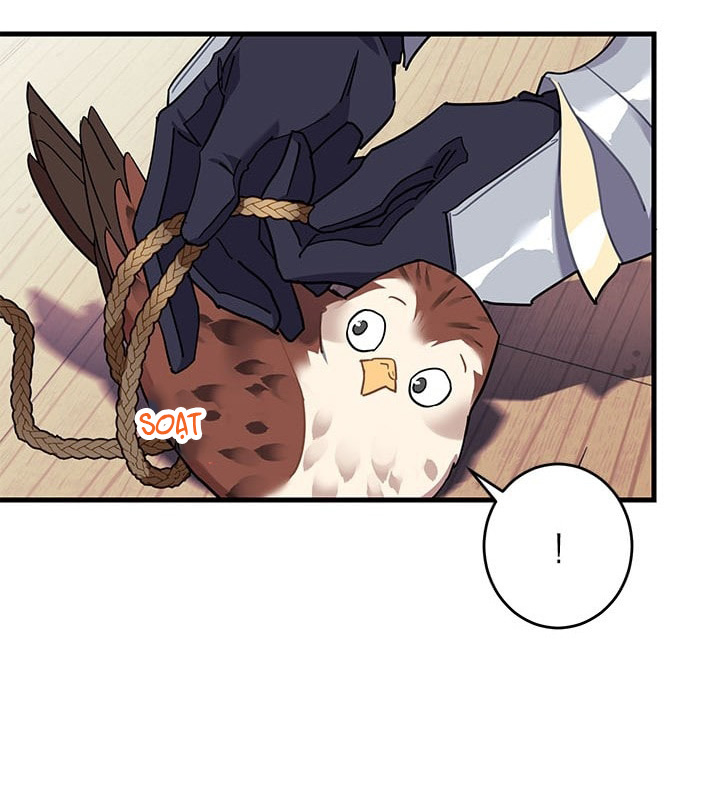 công chúa của loài chim chapter 4 65