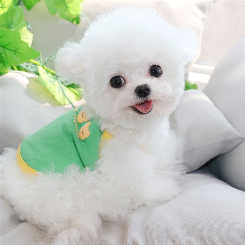 Áo 2 dây mặt gấu happy every day cho thú cưng