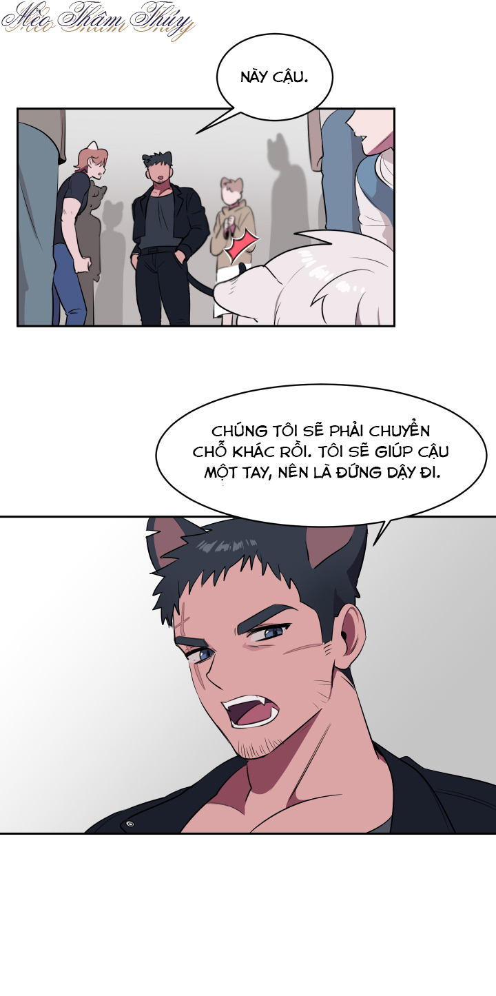 tình đầu chapter 1 19