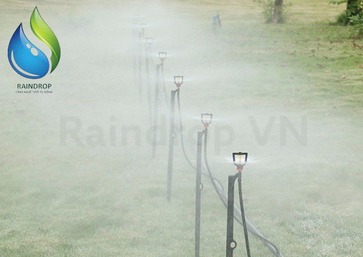 Combo 5 Bộ phun sương mù bộ dây treo đầy đủ