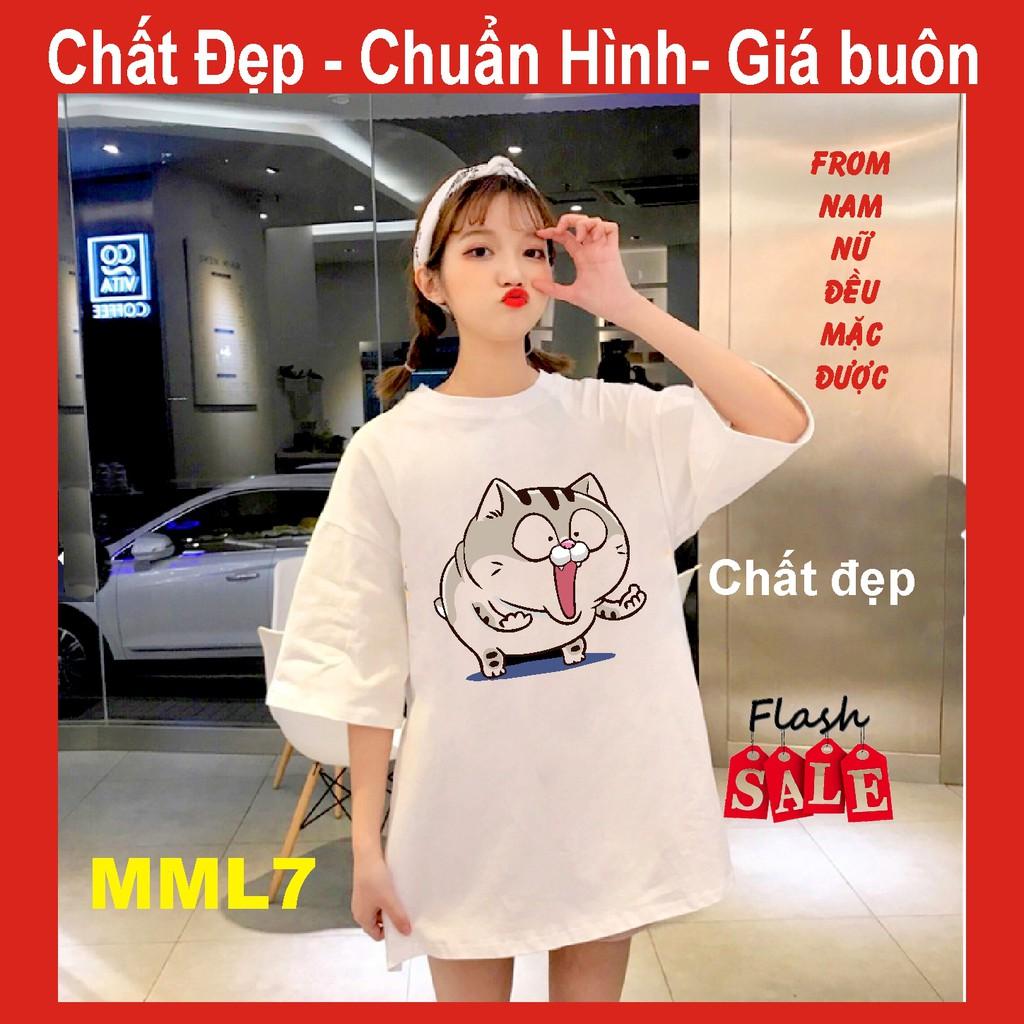 Áo thun mèo cat ami bụng bự M2, FREE SIZE,meo meo