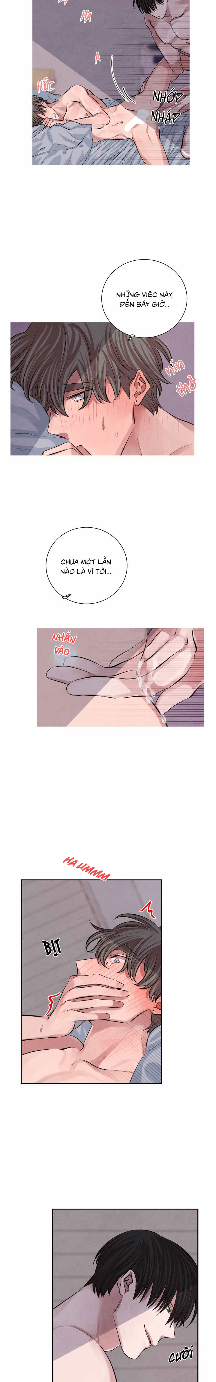 tiếng san hô nở chapter 11 12