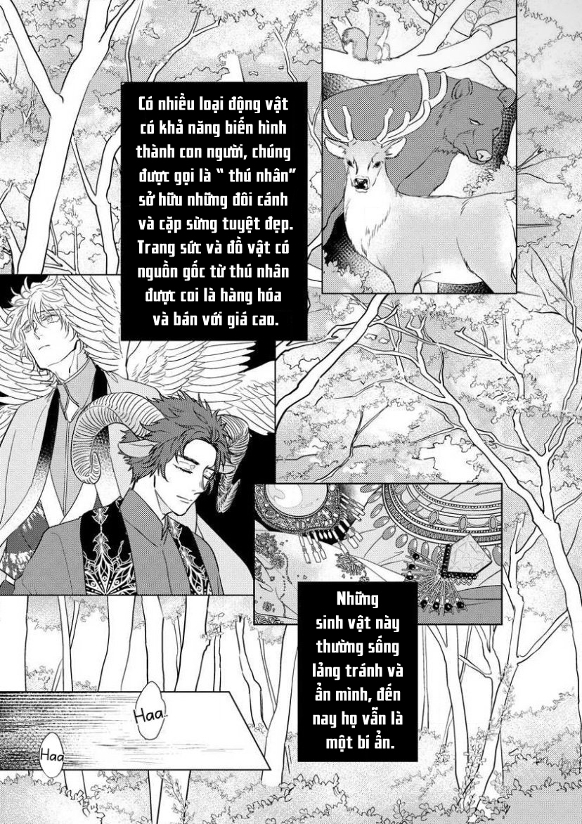 gặp gỡ em, thú nhân màu chàm trắng chapter 1 9