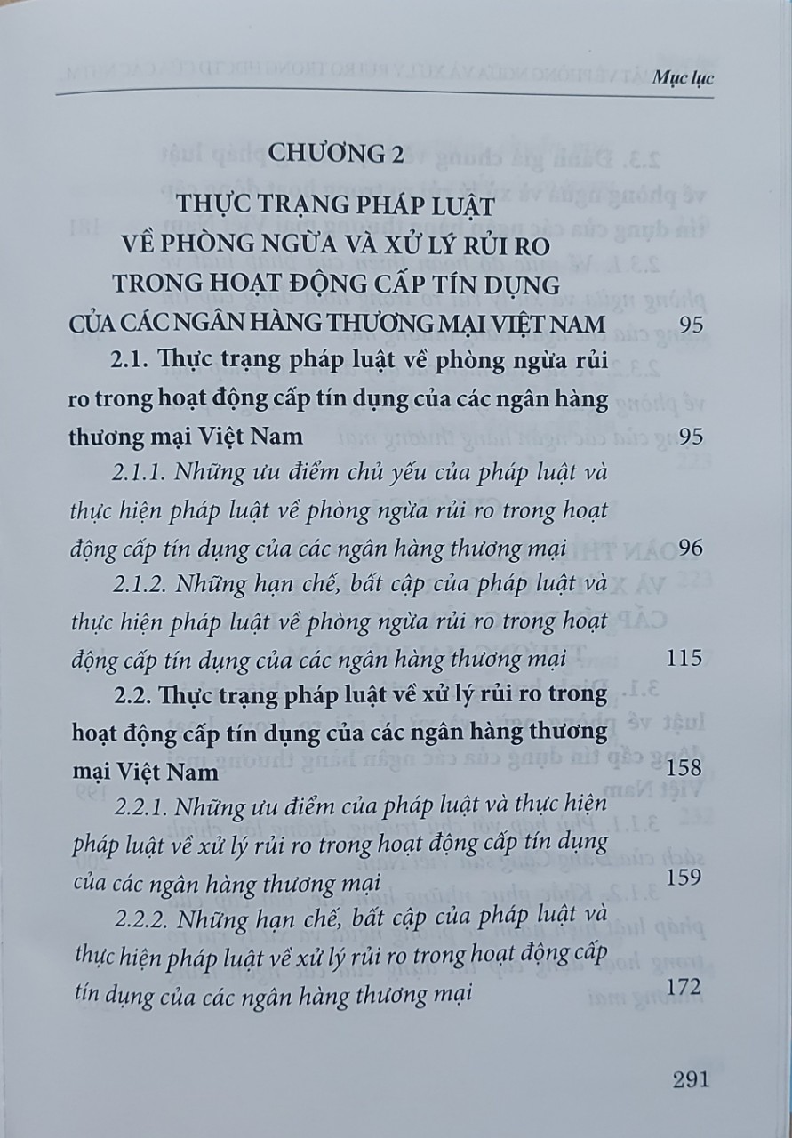 Pháp luật về phòng ngừa và xử lý rủi ro trong hoạt động cấp tín dụng của các ngân hàng thương mại ở Việt Nam