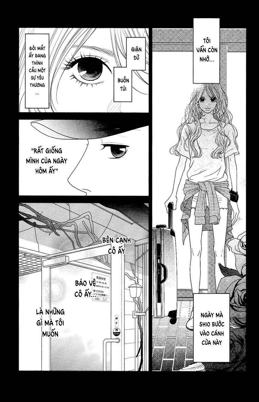 đóa hoa năm ấy chapter 4 3