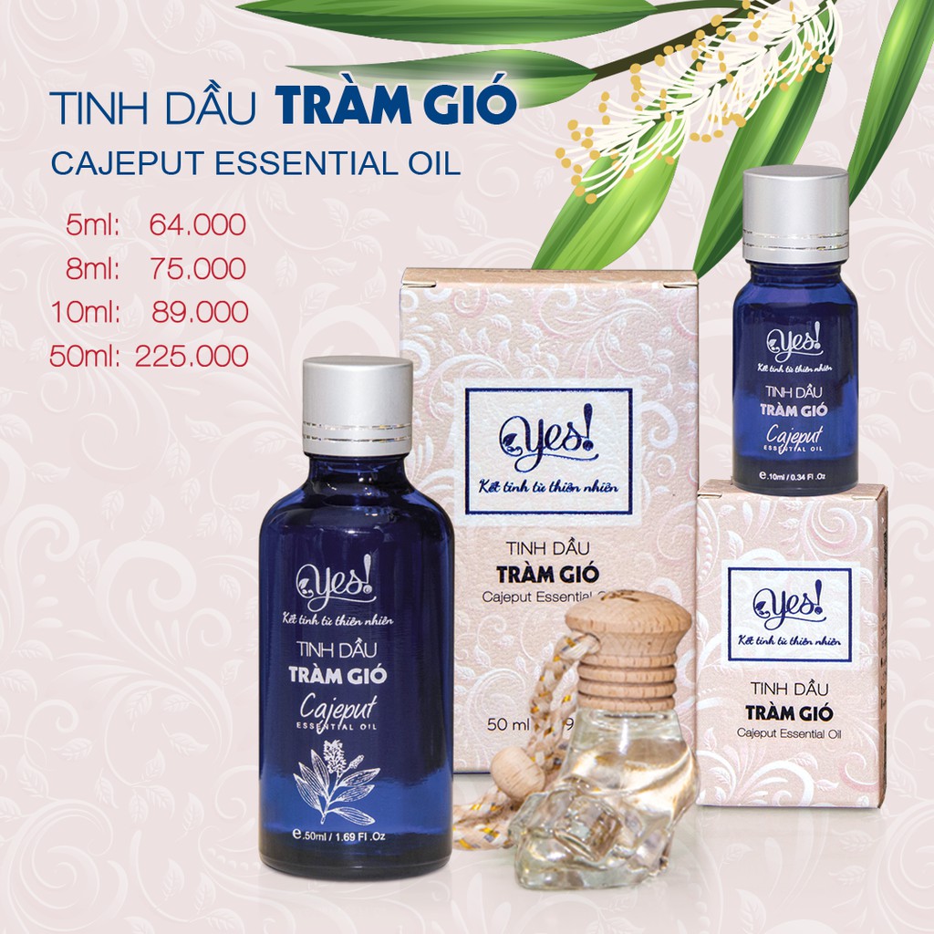 TINH DẦU TRÀM GIÓ YES!