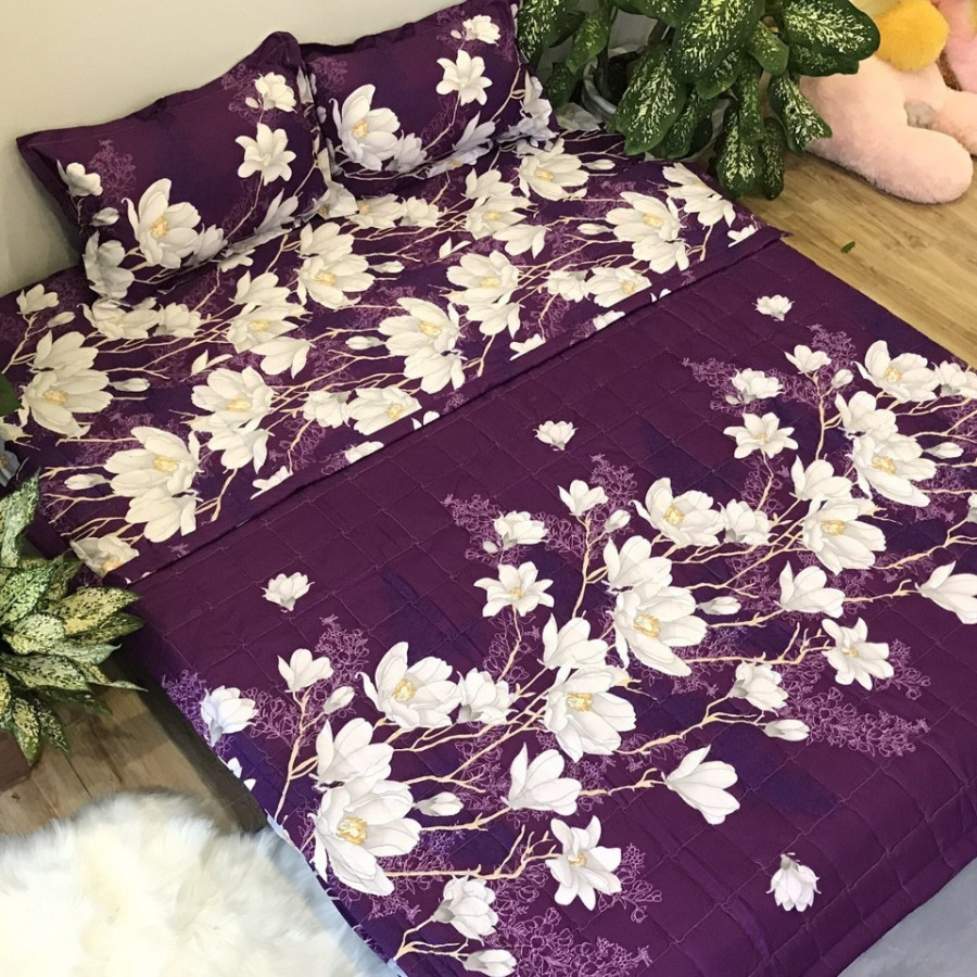 Set 5 món chăn hè ga chun Cotton Poly - Lan Tím - Tặng kèm 1 móc khóa Houston