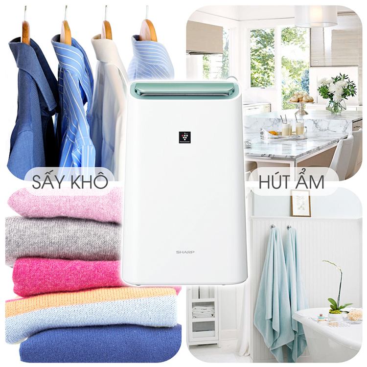 Máy Lọc Không Khí Và Hút Ẩm Sharp DW-E16FA-W – Trắng - Hàng chính hãng