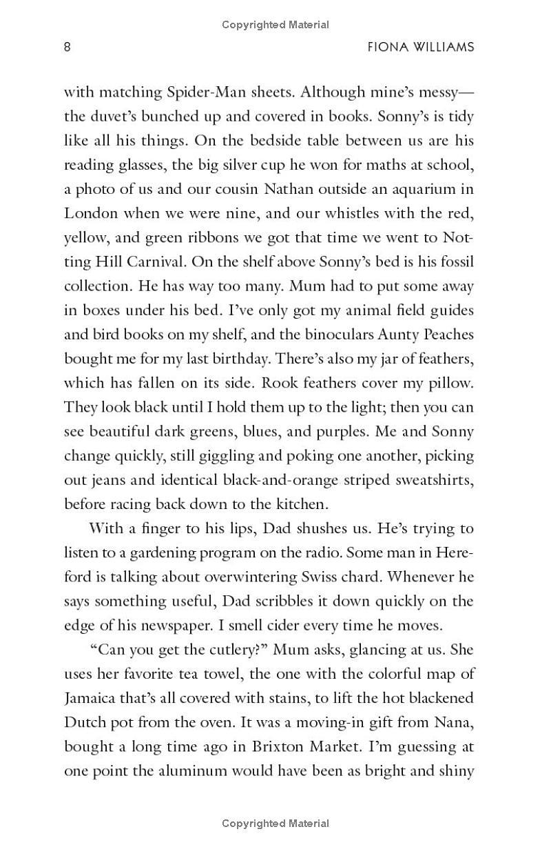 Sách ngoại văn: The House Of Broken Bricks