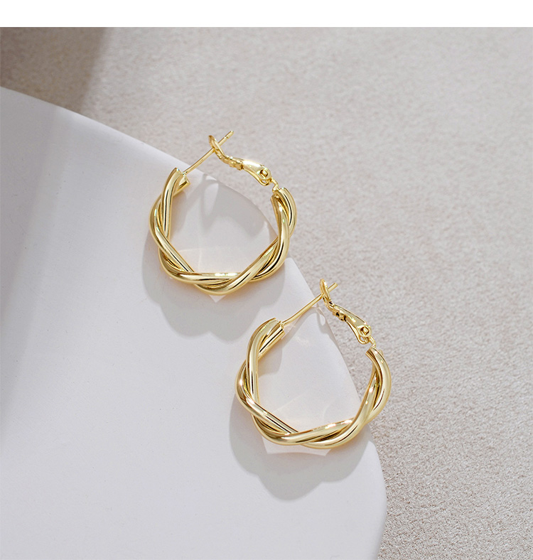 Bông Tai- Khuyên Tai Nữ Hợp Kim Hình Tròn 2 Vòng Xoắn Nhau Sang Trọng/B&m Basic/BTHK00037