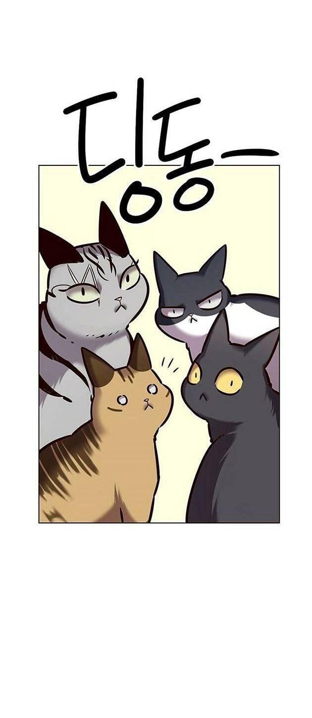 biến thân thành mèo chapter 223 33