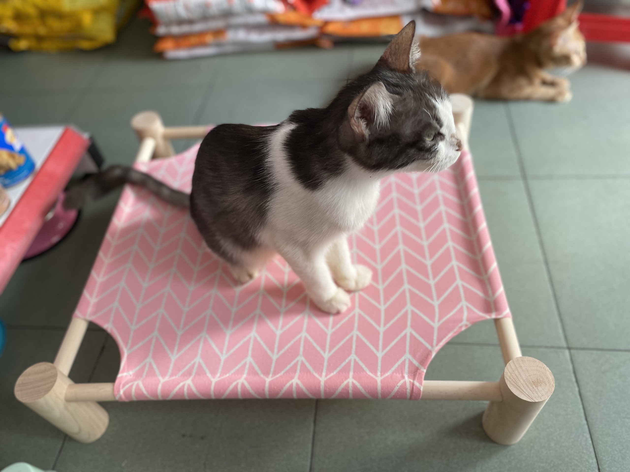 Giường Nằm Cho Thú Cưng &lt;12kg