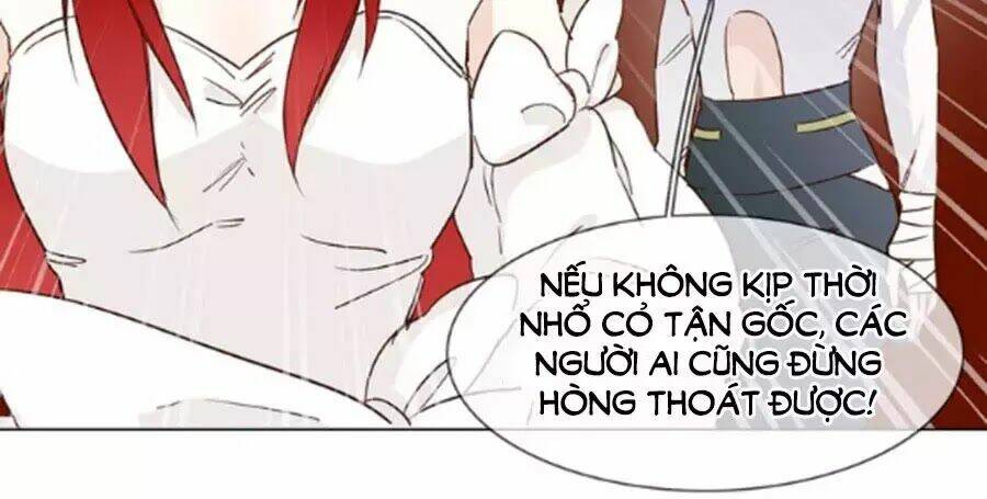 ngôi sao vụn vỡ chapter 44 155
