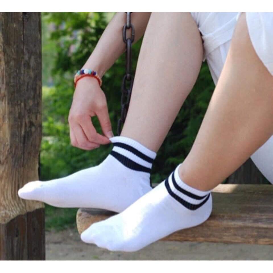 Tất cổ ngắn nữ cotton kiểu Hàn Quốc co giãn kháng khuẩn -TN14