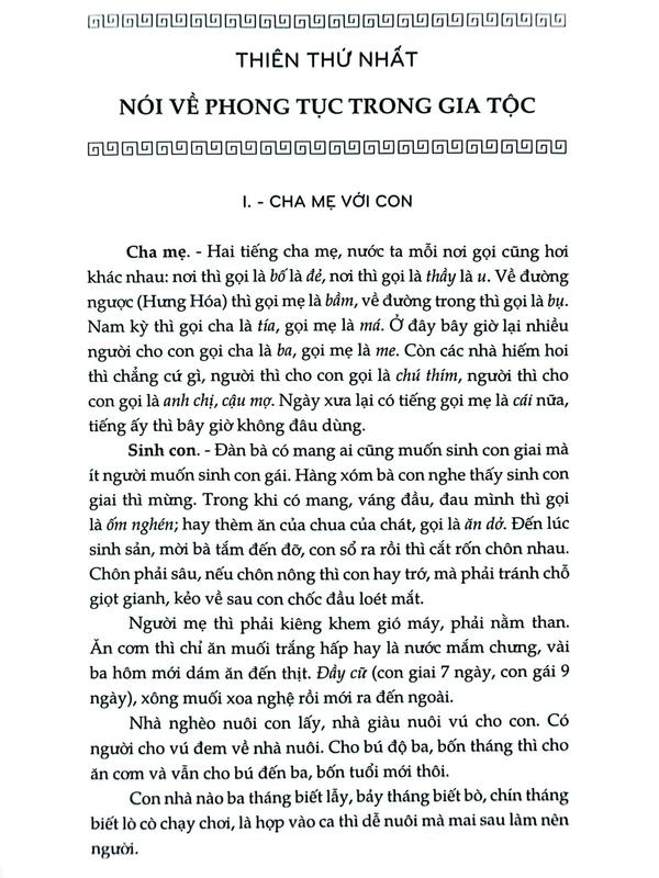 Sách - Việt Nam phong tục (Nhã Nam HCM)