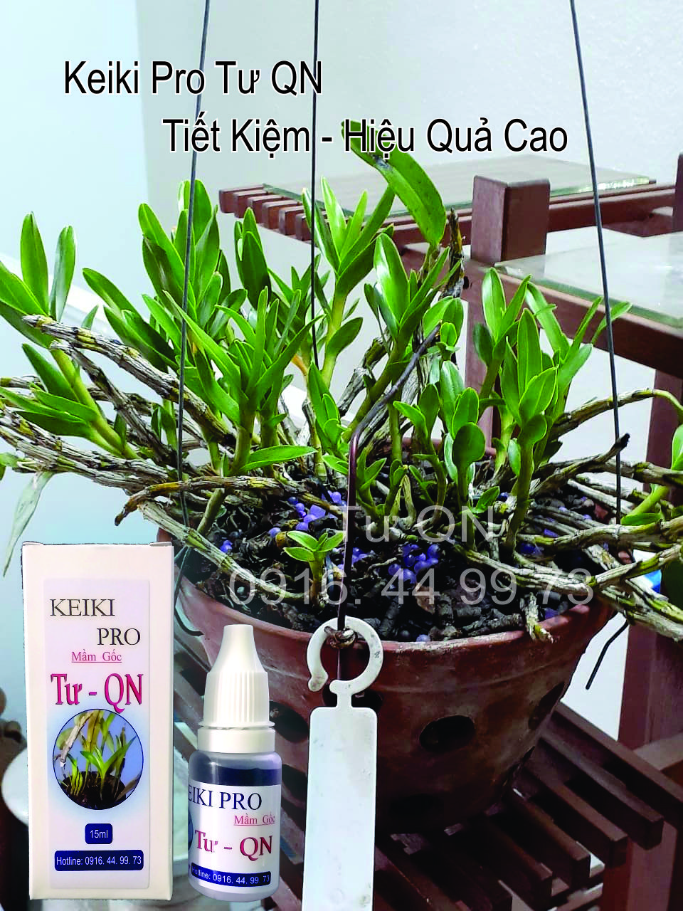 KeikiPro Chuyên Mầm Gốc - Tư QN - Đạt Hiệu Quả Cao